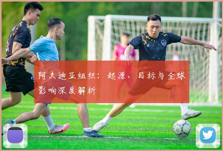 阿夫迪亚组织：起源、目标与全球影响深度解析
